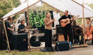 Image of Turnstone at MoelyCi 2002