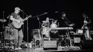 Image of Turnstone at Neuadd Ogwen New Year's Eve 2017-18