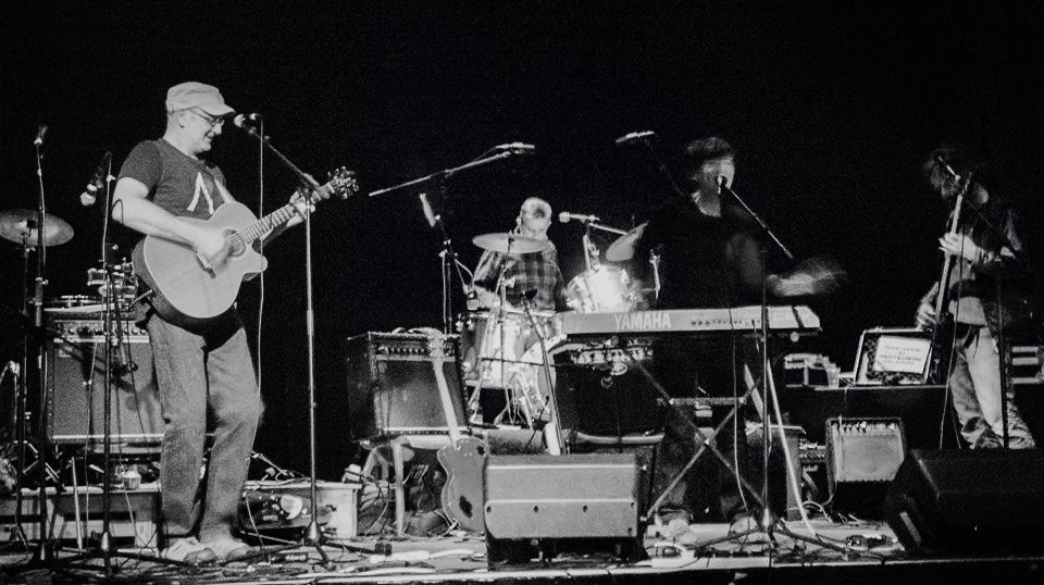 Image of Turnstone at Neuadd Ogwen New Year's Eve 2017-18