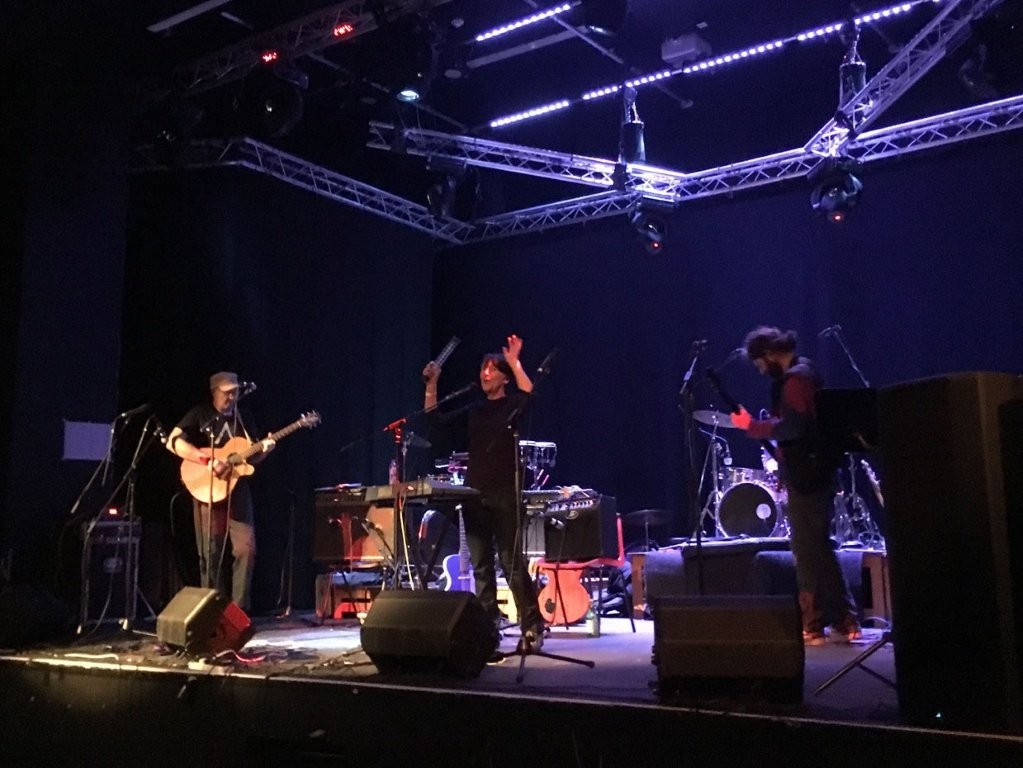 Image of Turnstone at Neuadd Ogwen New Year's Eve 2017-18